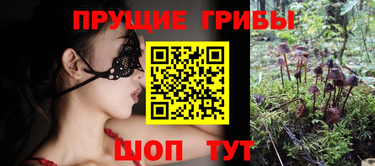 Псилоцибиновые грибы Psilocybine cubensis  Галлюциногенные грибы MAGIC MUSHROOMS  Красногорск  Вход с VPN 